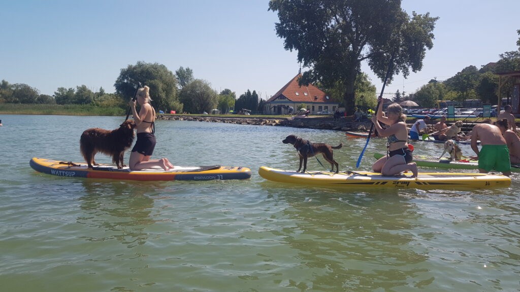 Balatoni kutyás SUP