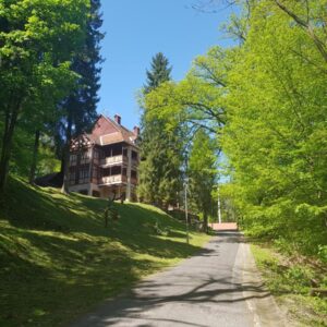 kutyabarát szálloda