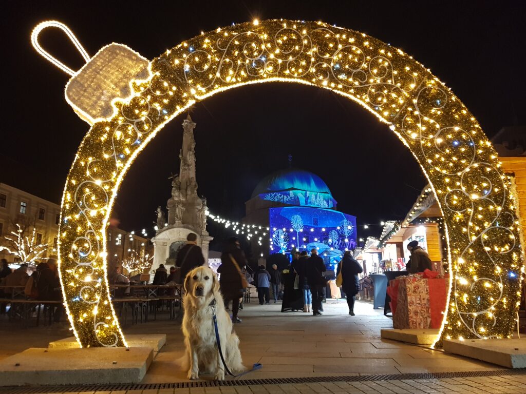 Kutyabarát karácsonyi vásárok, kutyás Advent Pécs