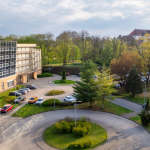 Négycsillagos kutyabarát we--ness-szálloda az Őrségben