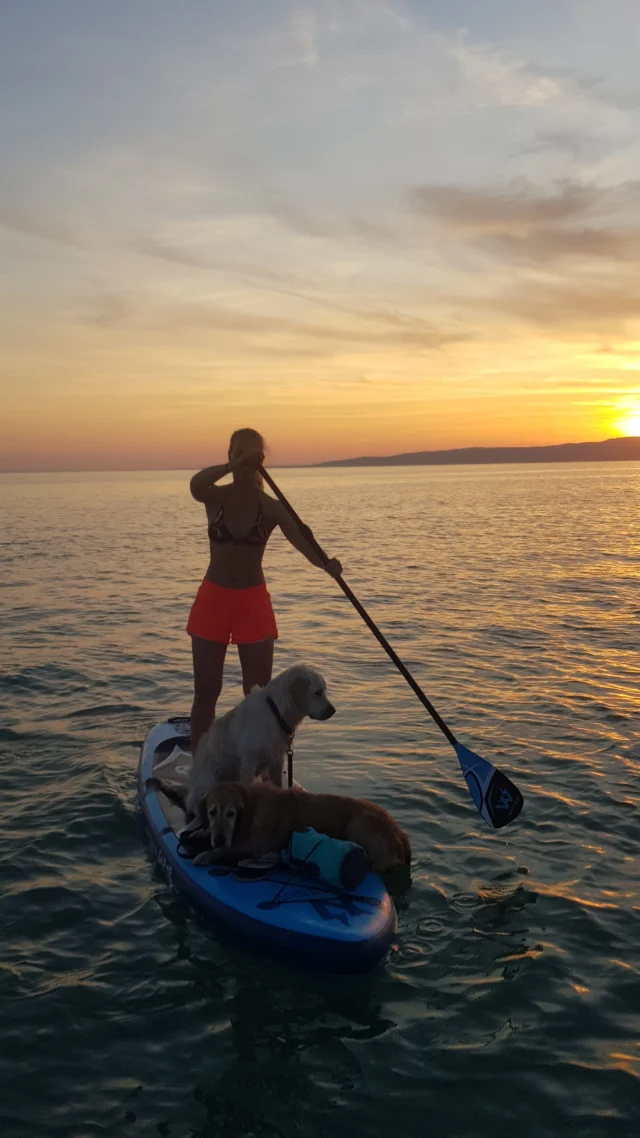 Szombaton is naplementés, kutyás SUP-pozásra hívunk Benneteket a Balatonra. 

Felejthetetlen élményben lesz részetek, ha velünk tartotok. 

Részletek a Facebook oldalunkon: 
https://www.facebook.com/utazzkutyaddal/events

#supdog #naplemente #SUP