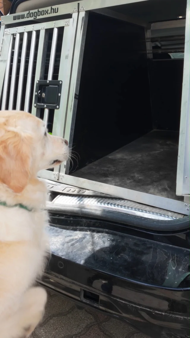 ❗️Itt a nyári utazások ideje, most igazán aktuális a téma!❗️

🐕 Külföldi utazásotokhoz mindenképpen kössetek utasbiztosítást!
Mi olyan utasbiztosítást ajánlunk, ami a veletek együtt utazó kutya balesetbiztosítását is tartalmazza. 

🐾 Július 5-től pedig megduplázták a házikedvencekre vonatkozó baleseti térítési díjakat is! (Podcastunkban még a régi baleseti térítési díjakat említjük.) 

Az utasbiztosítással kapcsolatos részleteket itt találod: 
https://utazzkutyaddal.hu/utasbiztositas-kutyaval-utazoknak/

A podcastot pedig itt nézheted meg: 
https://www.youtube.com/watch?v=2KmkY6O3IWs&t=862s